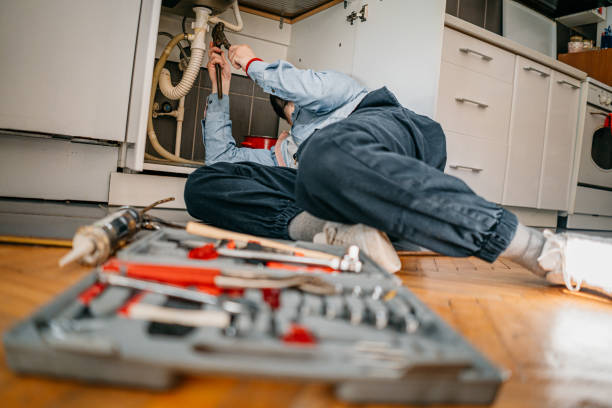  Iona, FL Plumbing Pros