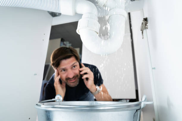 Best Commercial Plumbing Services  in Iona, FL