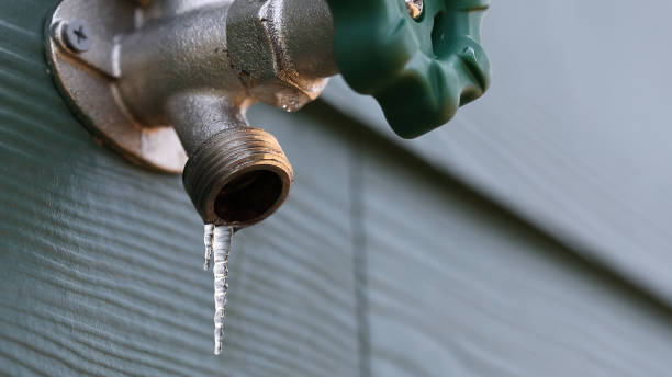 Best Affordable Plumber Near Me  in Iona, FL