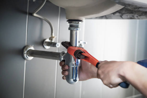 Best Plumbing Services Near Me  in Iona, FL